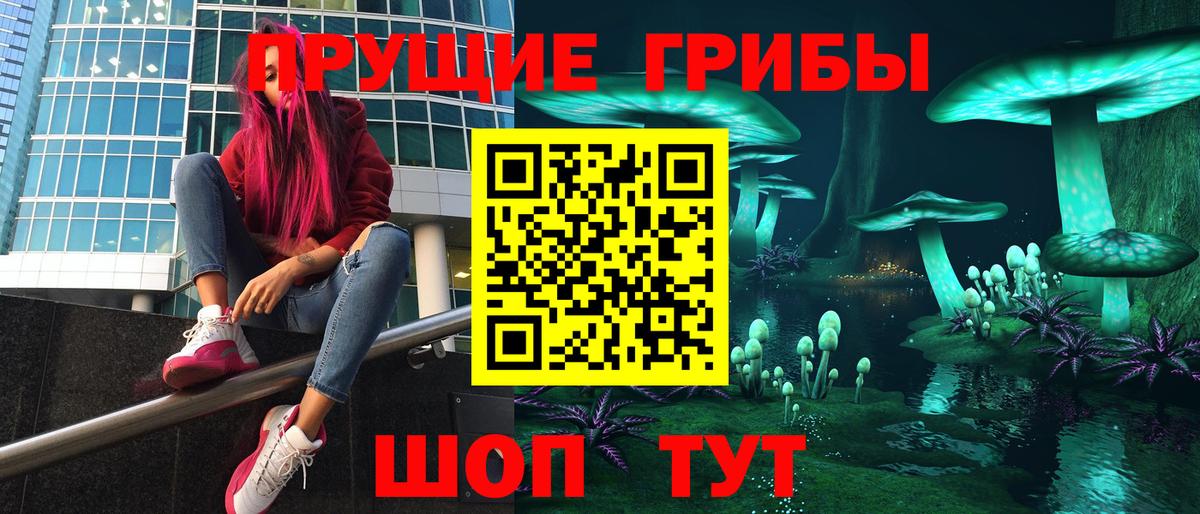 Апатиты  Галлюциногенные грибы прущие грибы  Вход с VPN 